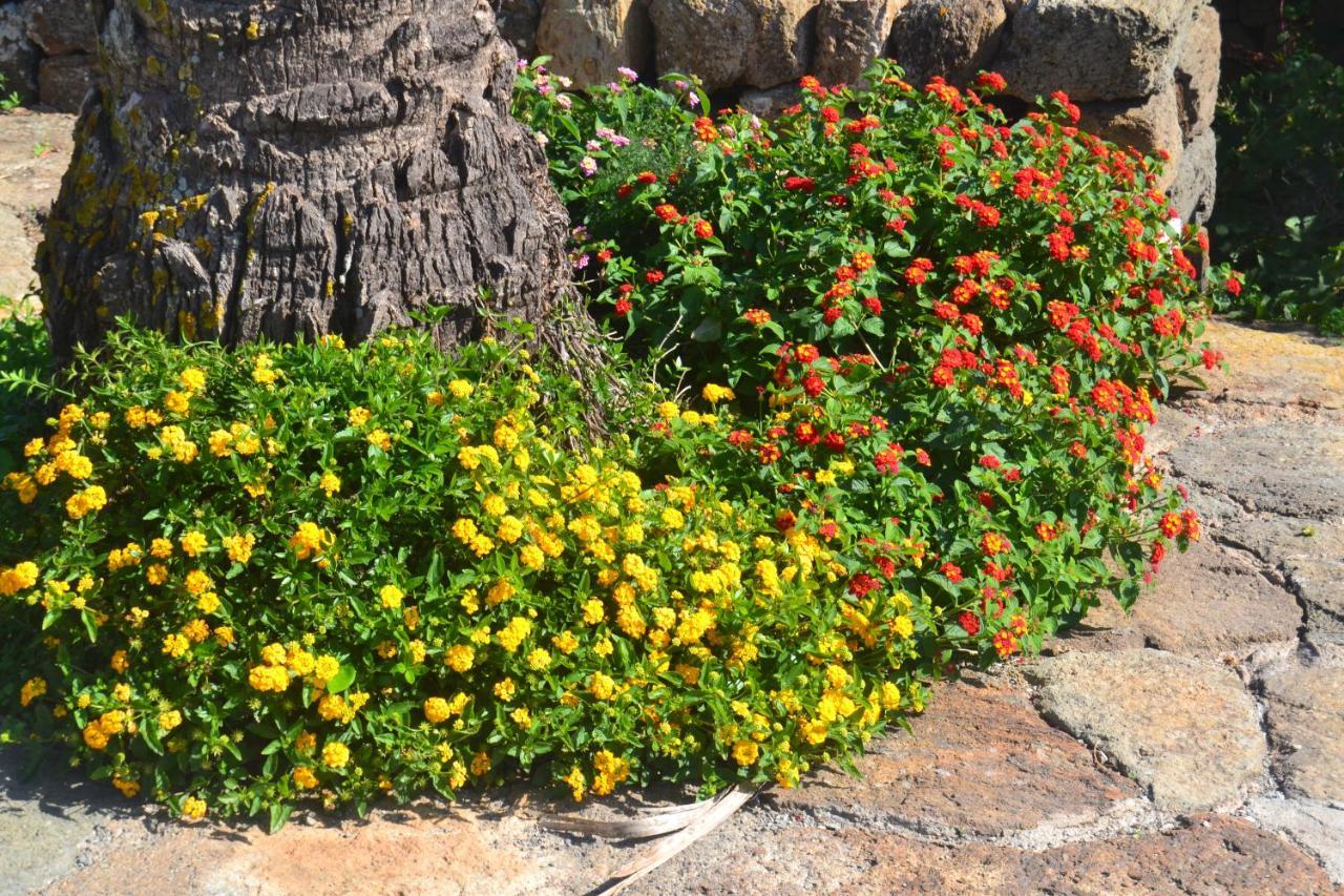 Agriturismo Zinedi Villa Pantelleria Dış mekan fotoğraf